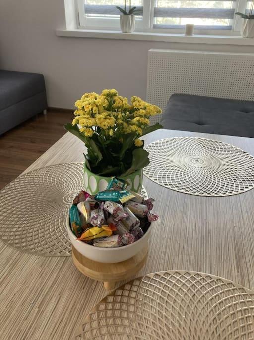 Apartament W Centrum Malborka Exteriér fotografie
