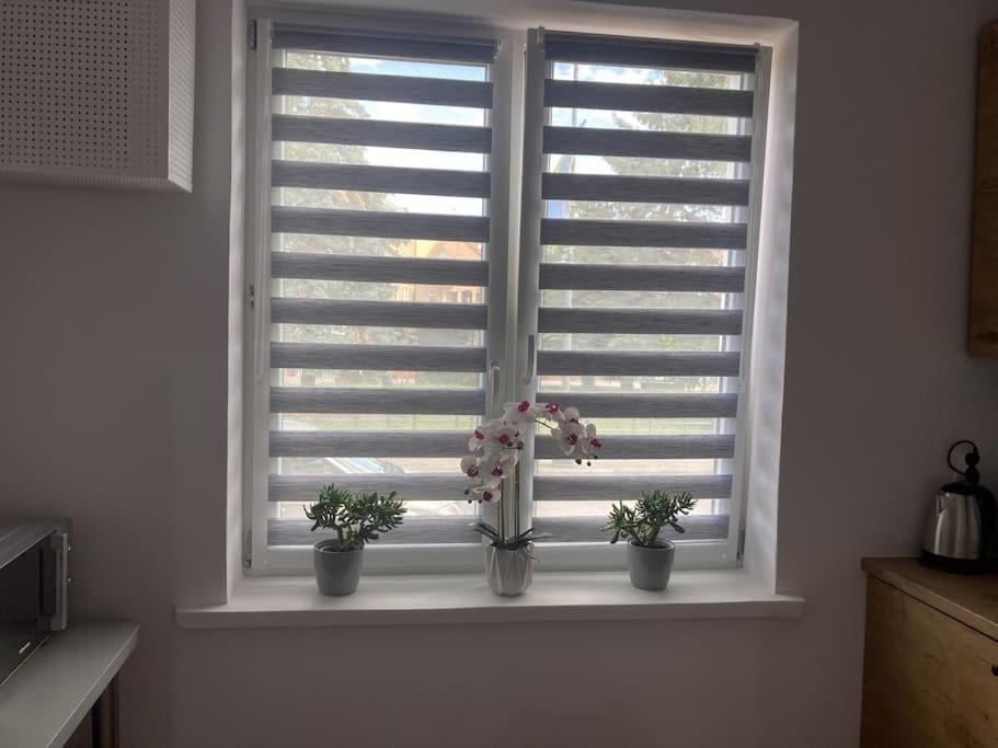 Apartament W Centrum Malborka Exteriér fotografie